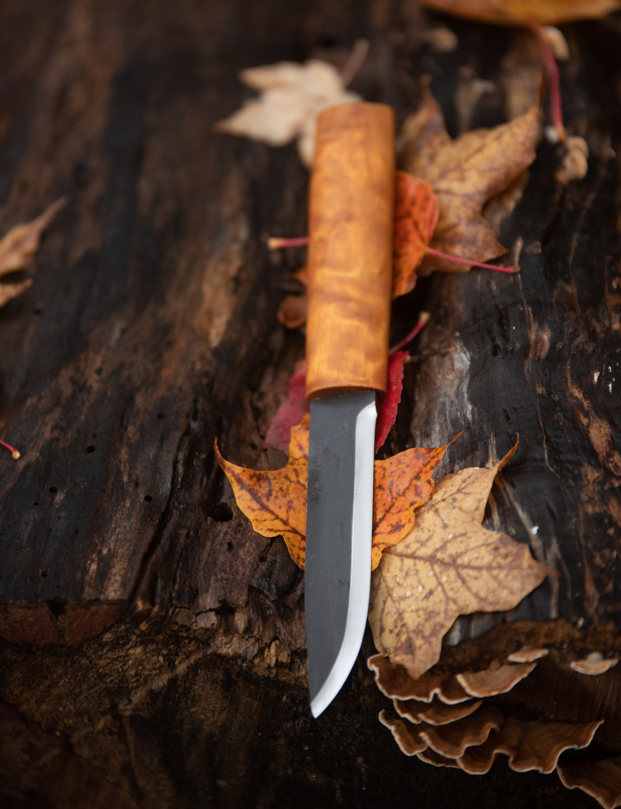 Helle Viking 4.33 in. Triple Laminated Stainless Steel Blade, Curly Birch  Handle