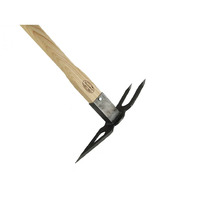 Dewit Australian pickaxe with 2 tines ash handle 900mm
