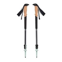 Black Diamond Pursuit Trekking Poles S23 - Charcoal/Foam Green S/M