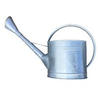 Ryset GD306 - 9 Litre Galvanised  Watering Can 