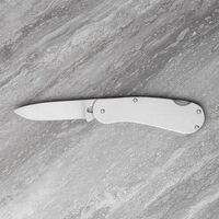 Taylor's SH371 - 70mm Stainless Steel Gardiners Pocket Knife with Drop Point Blade (Stainless Steel Handle)